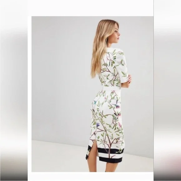 Ted Baker Evrely midi dress It’s Spring! Hummingbirds! Midi Dress Sz 4 = USA 10 - Picture 2 of 14